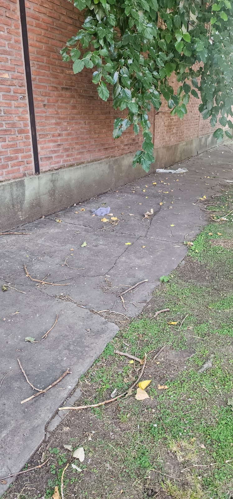 Situacion existente — situación existente